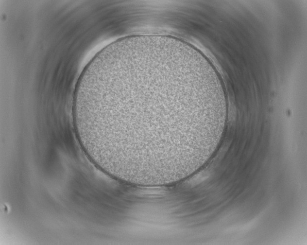 X0000085811486200704131934