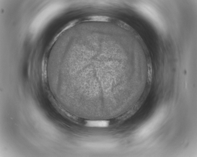 X0000085811487200704131934