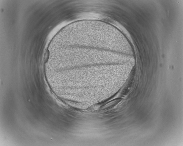 X0000085811488200704131934