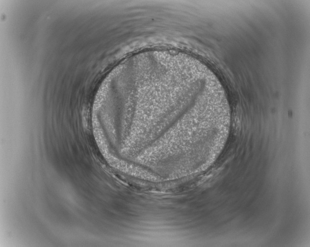 X0000085811490200704131933