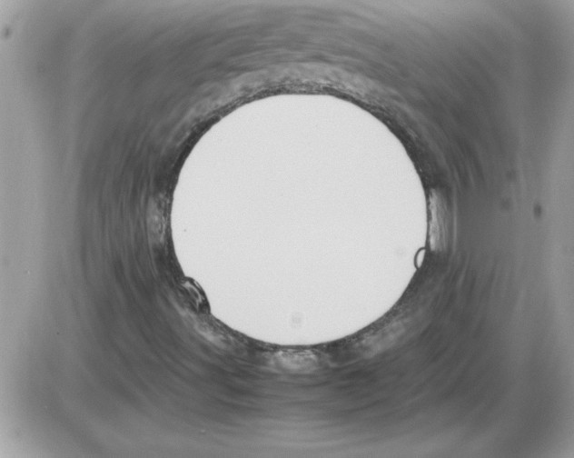 X0000085811491200704131933