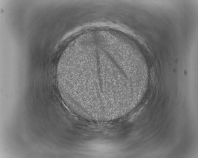 X0000085811494200704131933