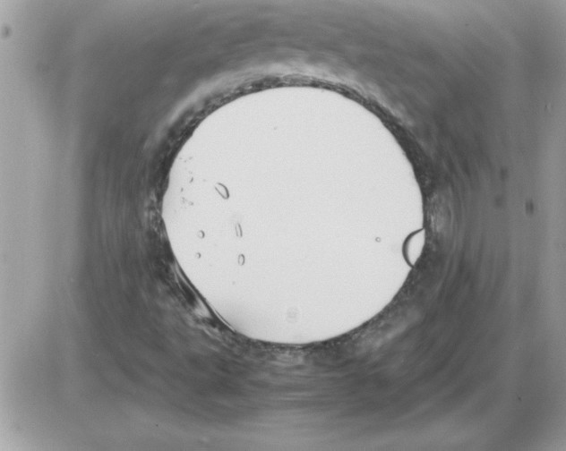 X0000085811495200704131933