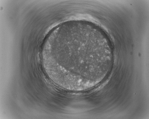 X0000085811497200704131933