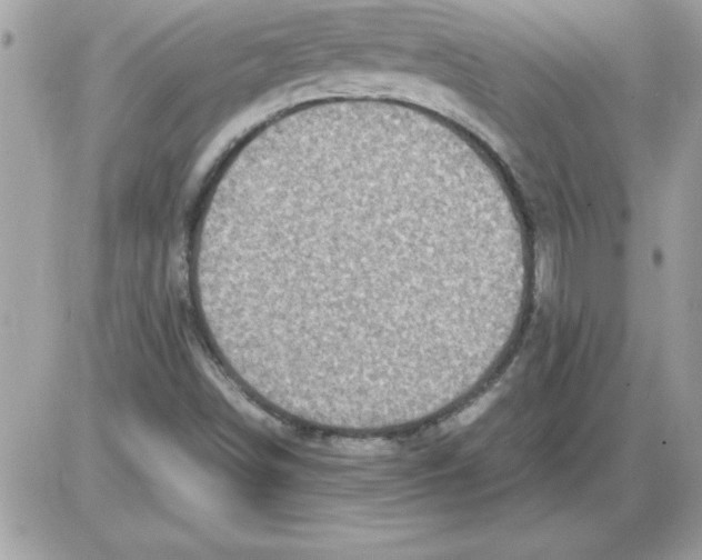 X0000085811498200704131933