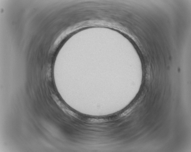 X0000085811499200704131933