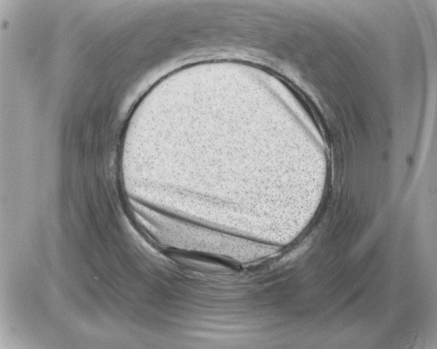 X0000085811500200704131933