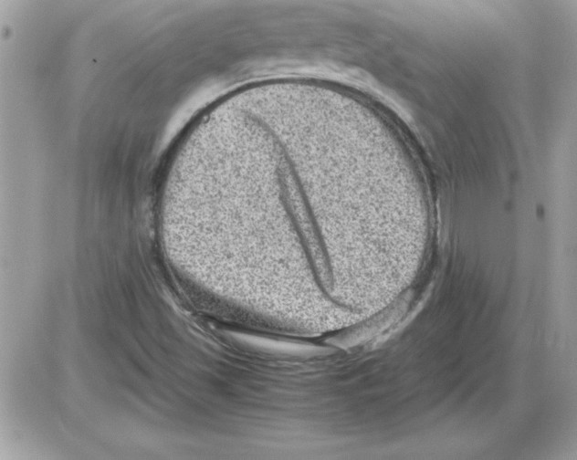 X0000085811501200704131933