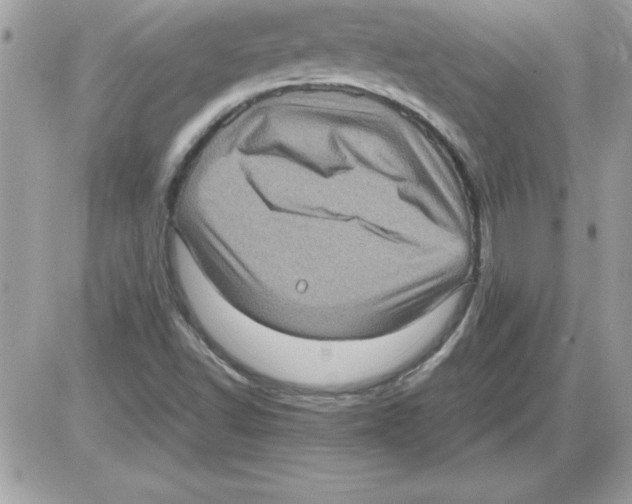 X0000085811502200704131933