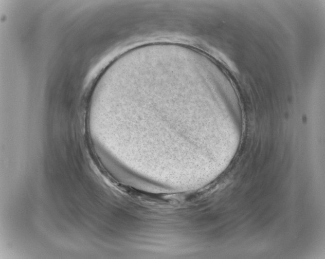 X0000085811504200704131933