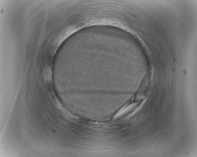 X0000085811505200704131933