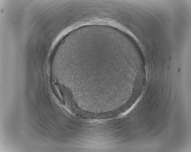 X0000085811506200704131933