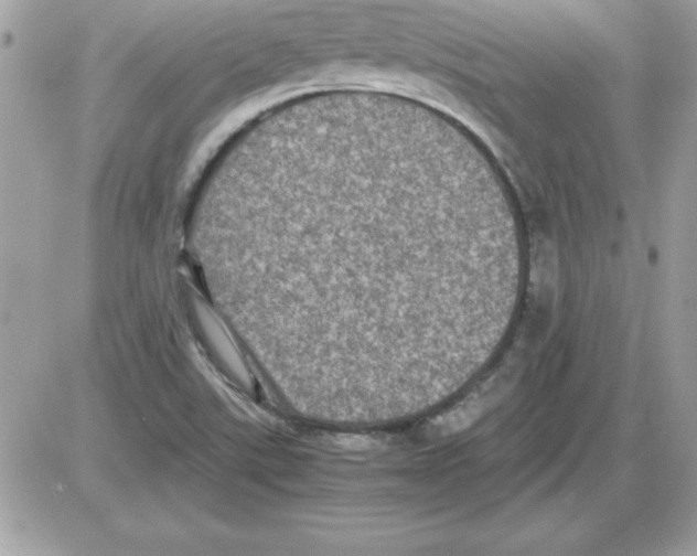 X0000085811507200704131933