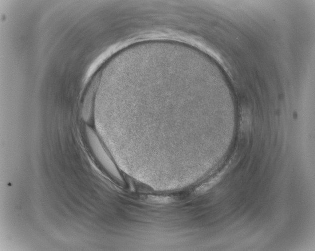 X0000085811509200704131933