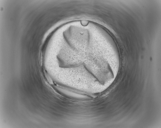 X0000085811510200704131933