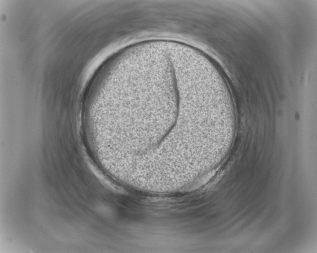 X0000085811511200704131933