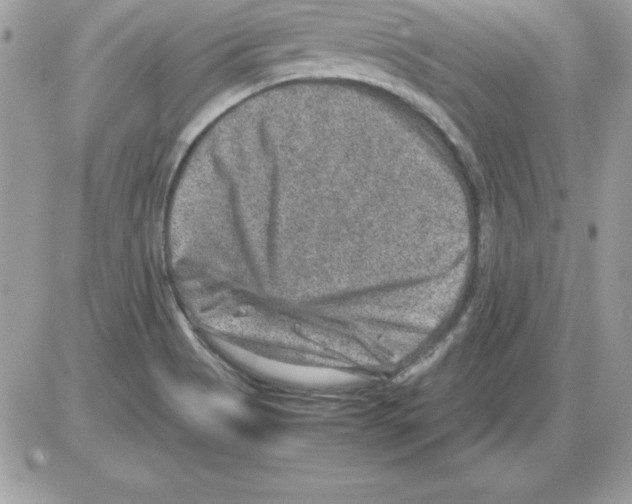 X0000085811513200704131933