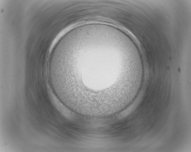 X0000085811514200704131933