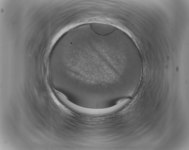 X0000085811515200704131933