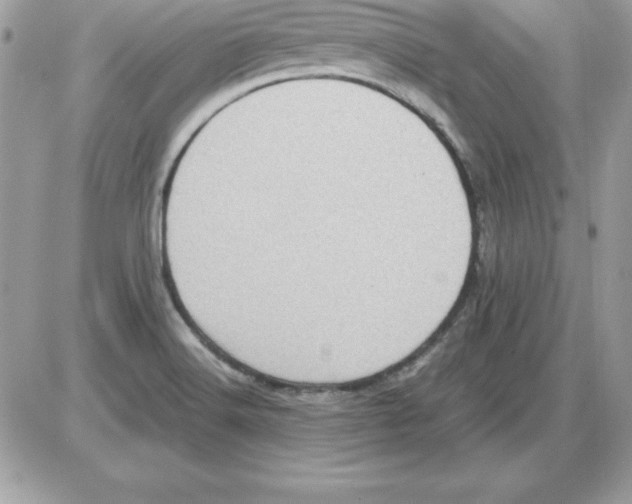 X0000085811516200704131933