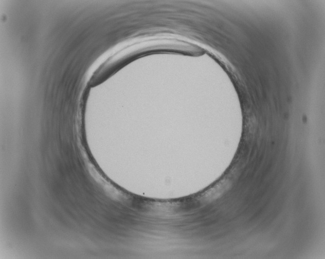 X0000085811518200704131933