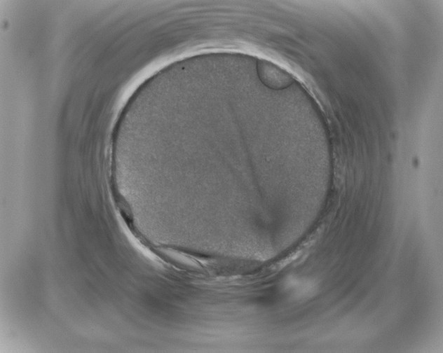 X0000085811519200704131933