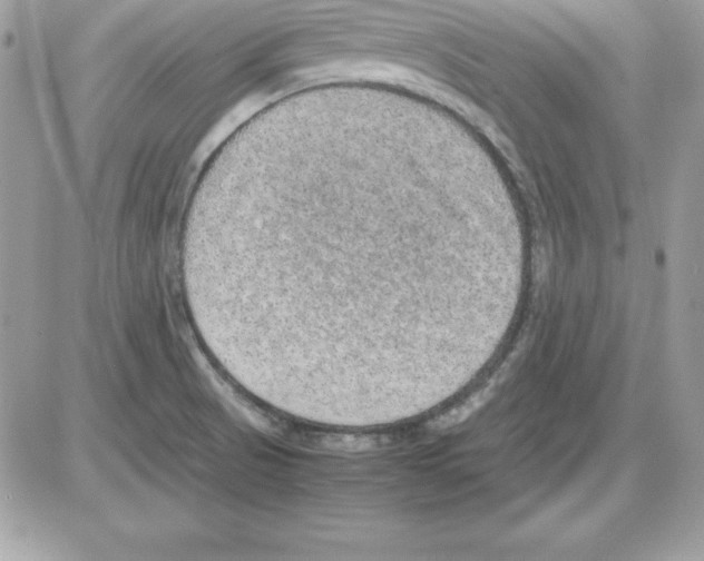 X0000085811521200704131933