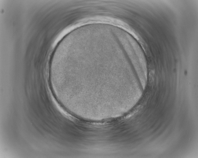 X0000085811523200704131933