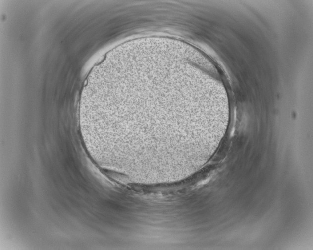 X0000085811524200704131933