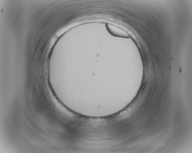 X0000085811526200704131933