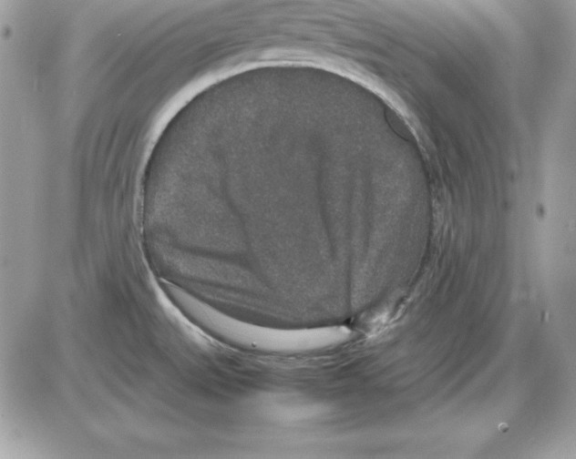 X0000085811527200704131933