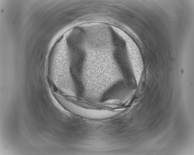 X0000085811528200704131933