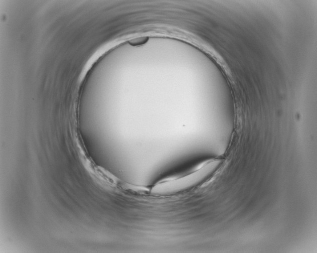 X0000085811530200704131933