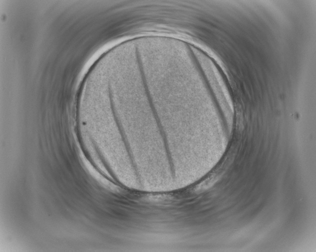 X0000085811531200704131933