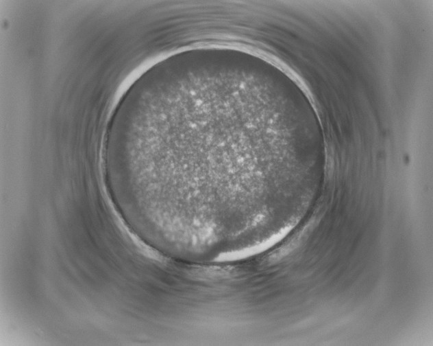 X0000085811533200704131933