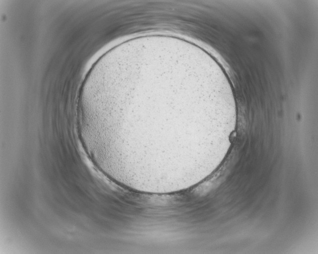 X0000085811534200704131934