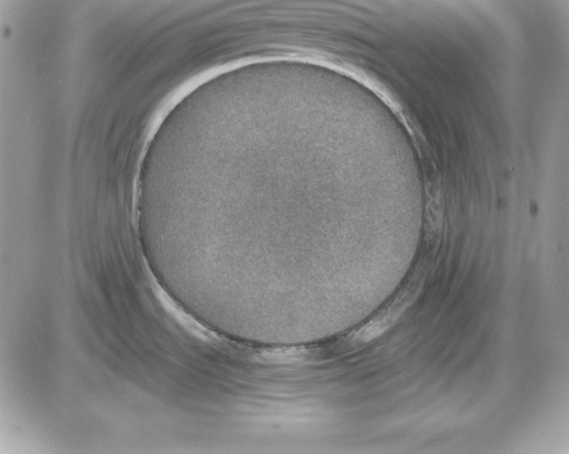 X0000085811535200704131934