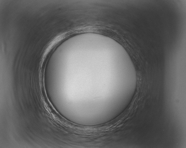X0000085820006200703161108