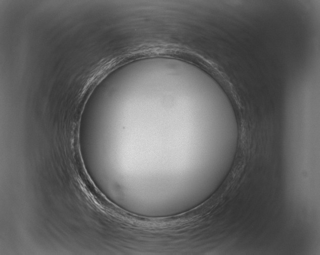 X0000085820010200703161108