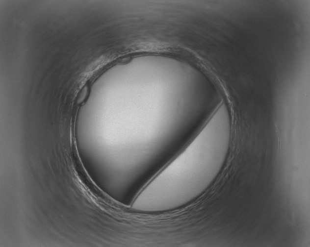 X0000085820011200703161108