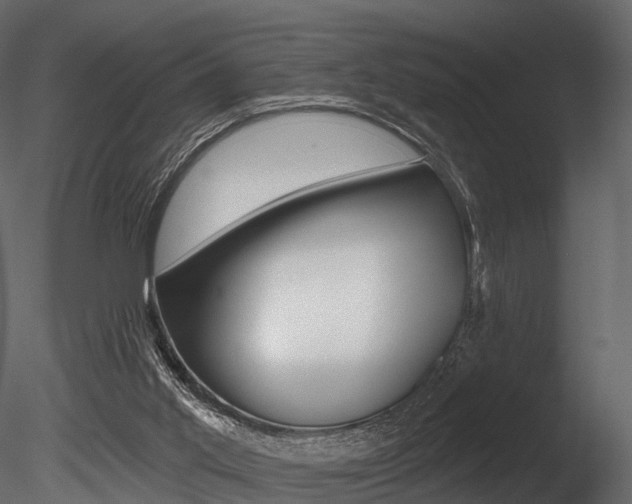 X0000085820013200703161108