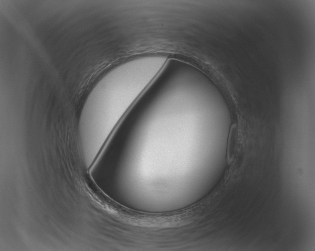 X0000085820017200703161108