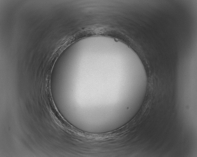 X0000085820018200703161108