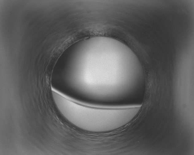 X0000085820025200703161108