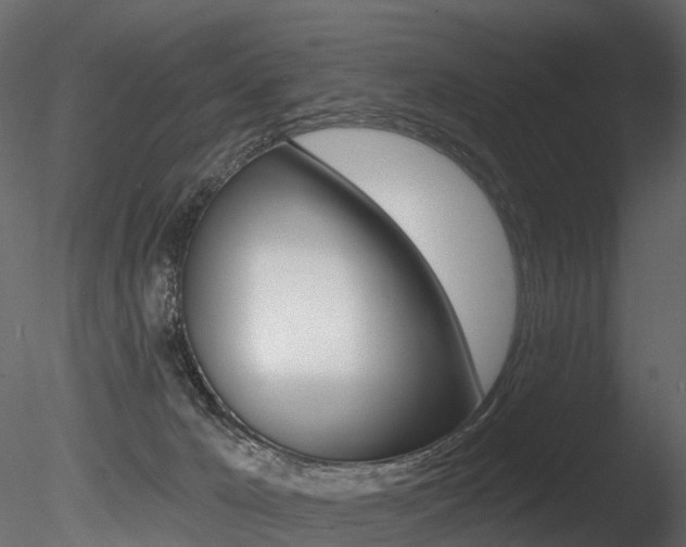 X0000085820029200703161108