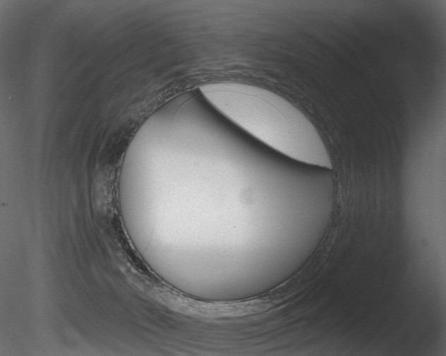 X0000085820030200703161108