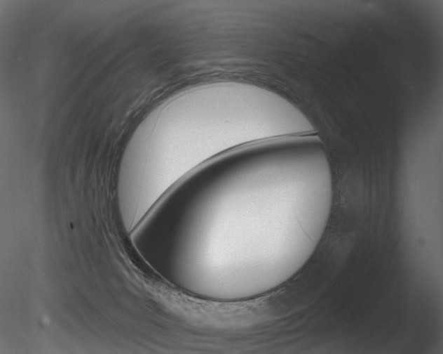 X0000085820031200703161108
