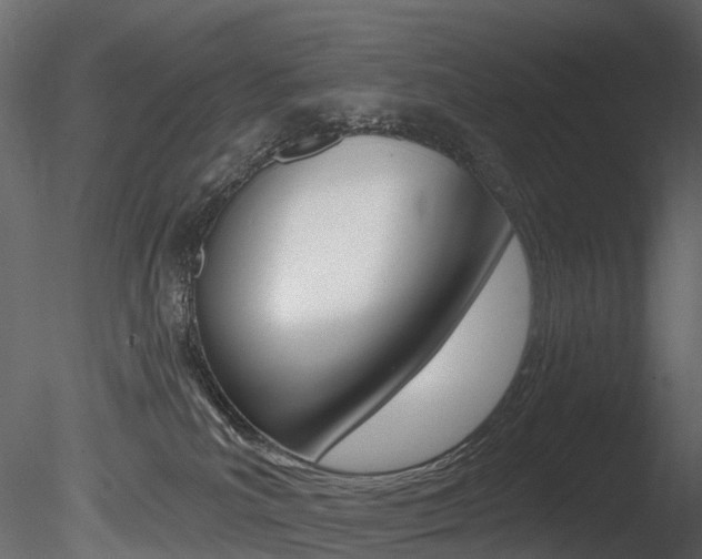X0000085820039200703161108