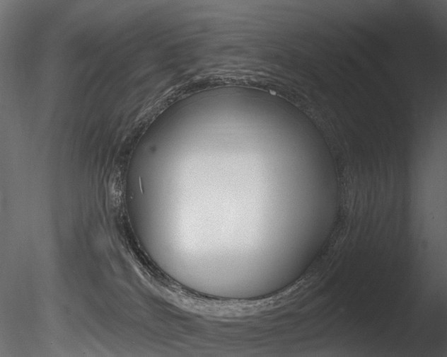 X0000085820040200703161108