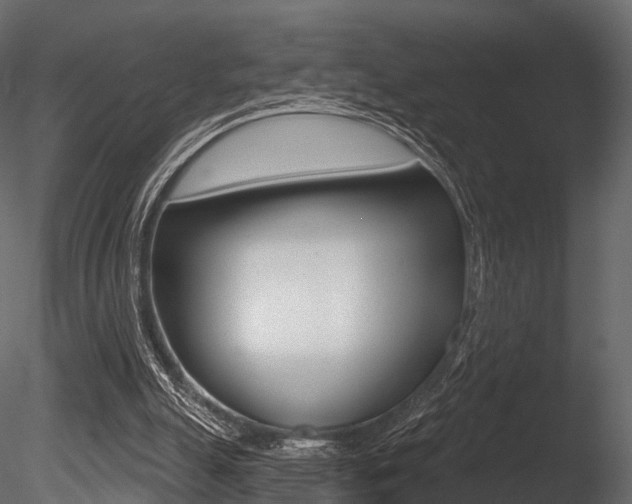 X0000085820055200703161107